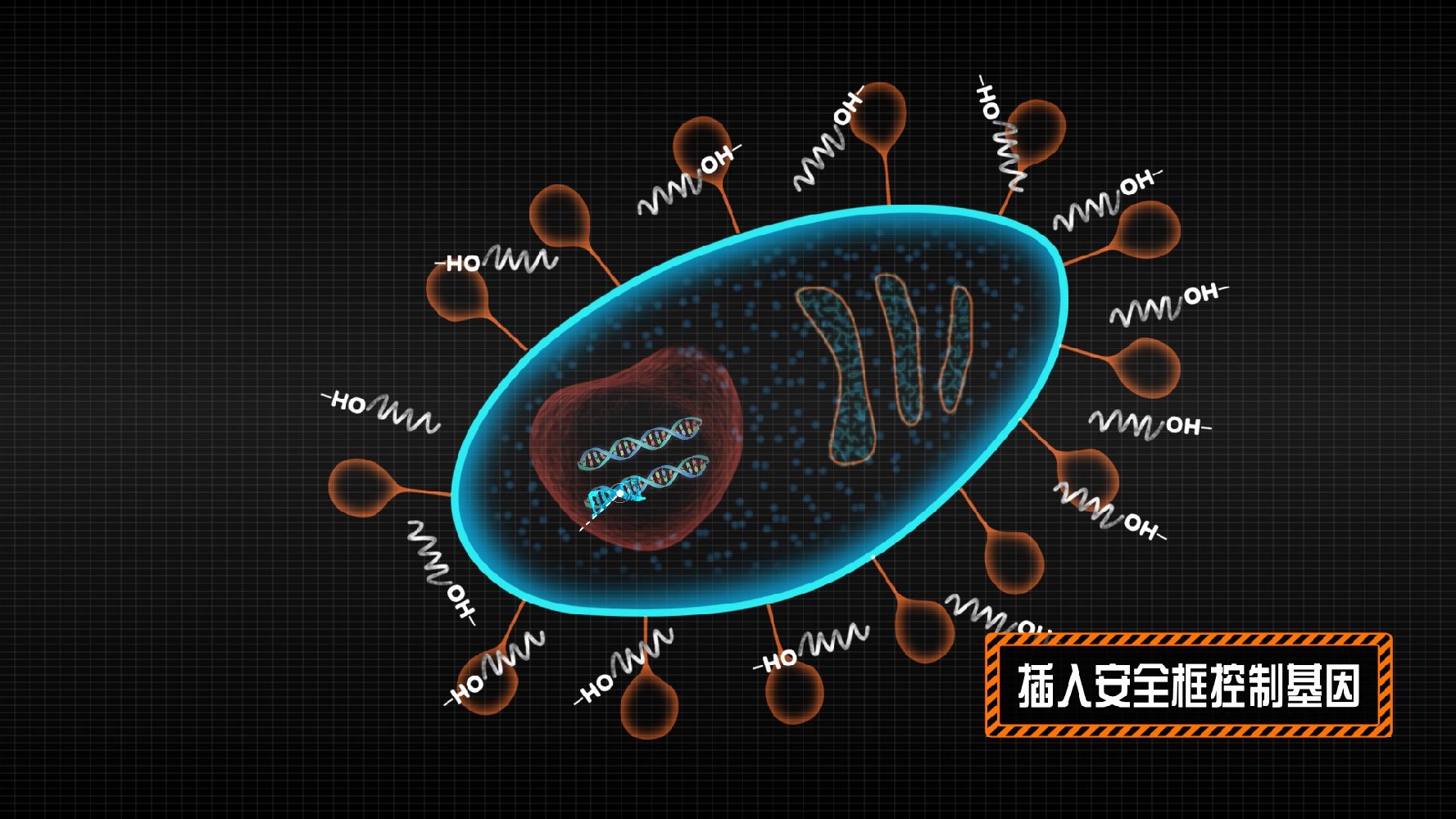 華科實(shí)驗技術(shù)展示2